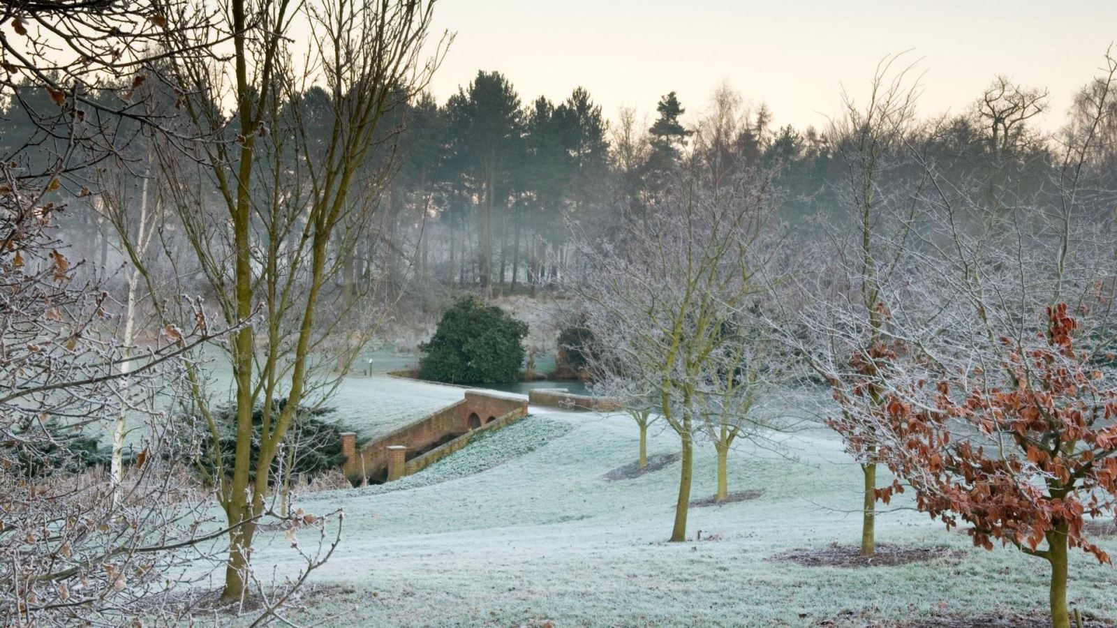 Markshall Arboretum in the snow